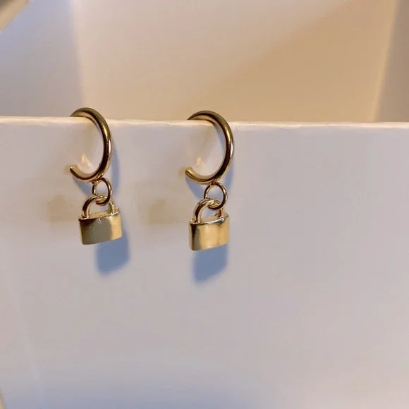 🌿4/$20 Lock and Hoop Earrings - Picture 1 of 3
